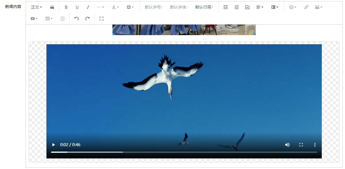 ThinkPHP+WangEditor实现富文本+上传图片+上传视频功能