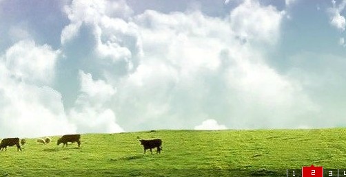 最常见的flash图片轮播效果，兼容各种浏览器