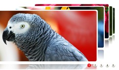 flash+xml立体前后切换的flash幻灯