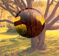 鼠标悬停放大图片的jQuery放大镜插件代码