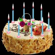 生日蛋糕生日蜡烛透明flash下载