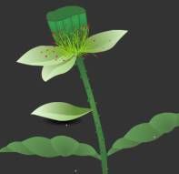 随风摆动的莲藕透明flash下载