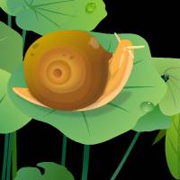 荷叶上的蜗牛透明flash