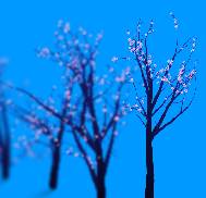 梅花盛开flash素材