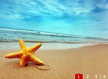 基于myFocus的简单图片过度效果