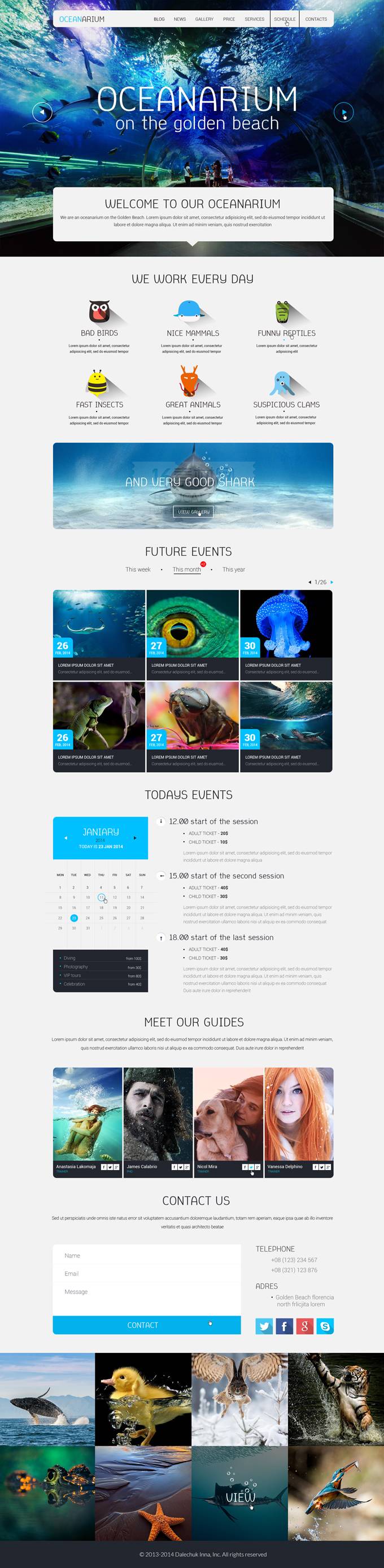 海底世界宣传网站PSD模板