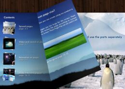 flash翻页效果幻灯图片代码