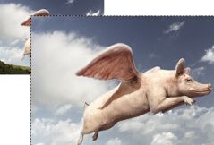 jquery图片提示插件