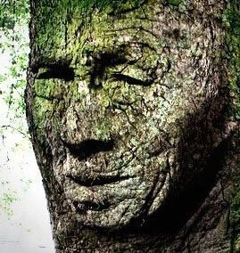 PS正片叠底实战：大树人脸合成教程