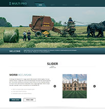 公司英文静态网页模板