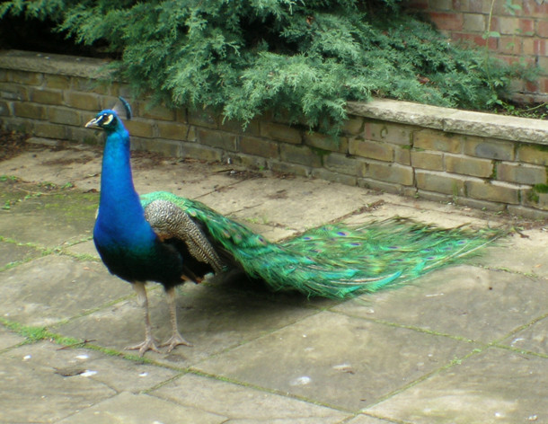 PS图层混合模式详解(五)