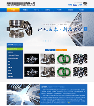 安徽某科技公司企业网站PSD模板