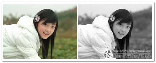 将网站图片转成黑白灰效果的兼容方法