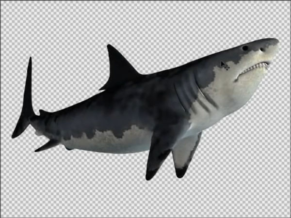 合成在海上被鲨鱼追逐的小孩子_我爱模板网