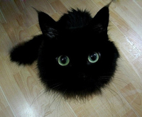 jQuery�ٲ���