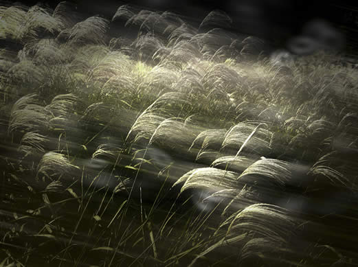 layer������